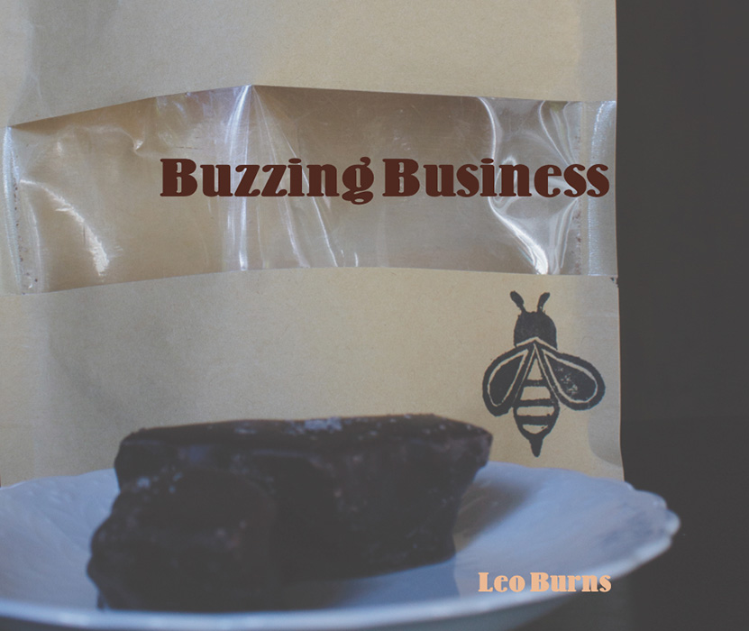 Book by Leo Burns